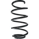 Spidan | Fahrwerksfeder | 87794