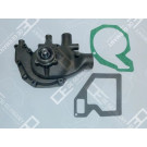 OE Germany | Wasserpumpe, Motorkühlung | 06 2000 116001