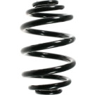 Spidan | Fahrwerksfeder | 55119