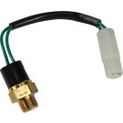 0915264 Temperaturschalter, Kühlerlüfter 0915264 Temperaturschalter, Kühlerlüfter