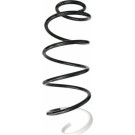 Spidan | Fahrwerksfeder | 87714