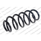 4292649 Fahrwerksfeder