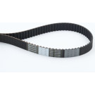 ContiTech | Zahnriemen | CT755 ContiTech | Zahnriemen | CT755