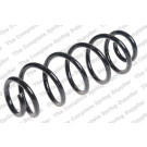 4204282 Fahrwerksfeder