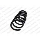 4295851 Fahrwerksfeder