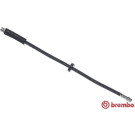 Brembo | Bremsschlauch | T 23 049