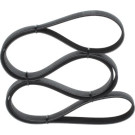 1 987 946 293 Keilrippenriemen