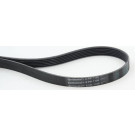 ContiTech | Keilrippenriemen | 6PK1100