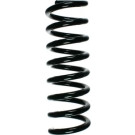 Spidan | Fahrwerksfeder | 55728