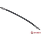 Brembo | Bremsschlauch | T 24 019