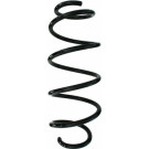 Spidan | Fahrwerksfeder | 87846