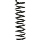 Spidan | Fahrwerksfeder | 49734