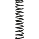Spidan | Fahrwerksfeder | 48669