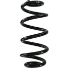 Spidan | Fahrwerksfeder | 88351