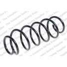 4200716 Fahrwerksfeder