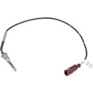 NRF | Sensor, Abgastemperatur | 707037