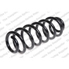 4282923 Fahrwerksfeder