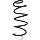 Spidan | Fahrwerksfeder | 88167