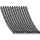 FEBI BILSTEIN 34341 Keilrippenriemen