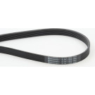 ContiTech | Keilrippenriemen | 6PK1580