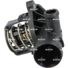 NRF | Thermostat, Kühlmittel | 725224