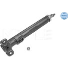 Meyle | Stoßdämpfer | 026 623 0004