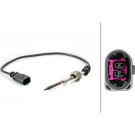 Hella | Sensor, Abgastemperatur | 6PT 014 494-831