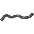 2420149 Kühlerschlauch