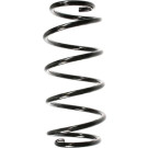 Spidan | Fahrwerksfeder | 49784