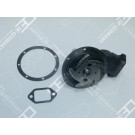 OE Germany | Wasserpumpe, Motorkühlung | 08 2000 062465