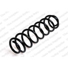 4285707 Fahrwerksfeder