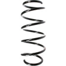 Spidan | Fahrwerksfeder | 55958