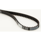CT1066 Zahnriemen CT1066 Zahnriemen