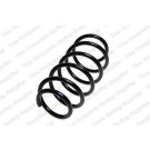 4063512 Fahrwerksfeder