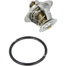NRF | Thermostat, Kühlmittel | 725161