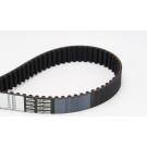 CT877 Zahnriemen CT877 Zahnriemen