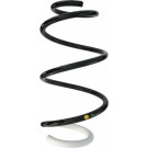 Spidan | Fahrwerksfeder | 87874