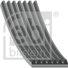 FEBI BILSTEIN 188439 Keilrippenriemen