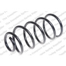 4200713 Fahrwerksfeder