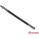 Brembo | Bremsschlauch | T 23 090