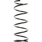 Spidan | Fahrwerksfeder | 49322