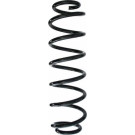 Spidan | Fahrwerksfeder | 87630