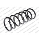 4295853 Fahrwerksfeder