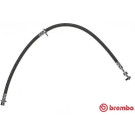 Brembo | Bremsschlauch | T 83 099