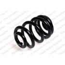 4256838 Fahrwerksfeder