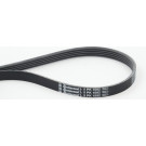 ContiTech | Keilrippenriemen | 5PK1592 ContiTech | Keilrippenriemen | 5PK1592