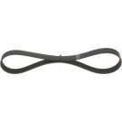 1 987 948 484 Keilrippenriemen