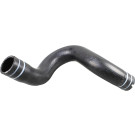 2420980 Kühlerschlauch