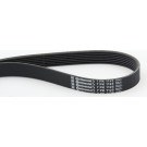 ContiTech | Keilrippenriemen | 7PK1125