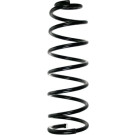 Spidan | Fahrwerksfeder | 55186